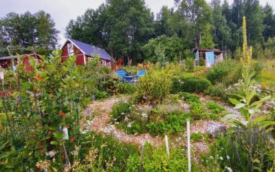 Syötävä metsäpuutarha-kurssi, Kylänpään kotitila, Karjalohja 19.-20.8.2023