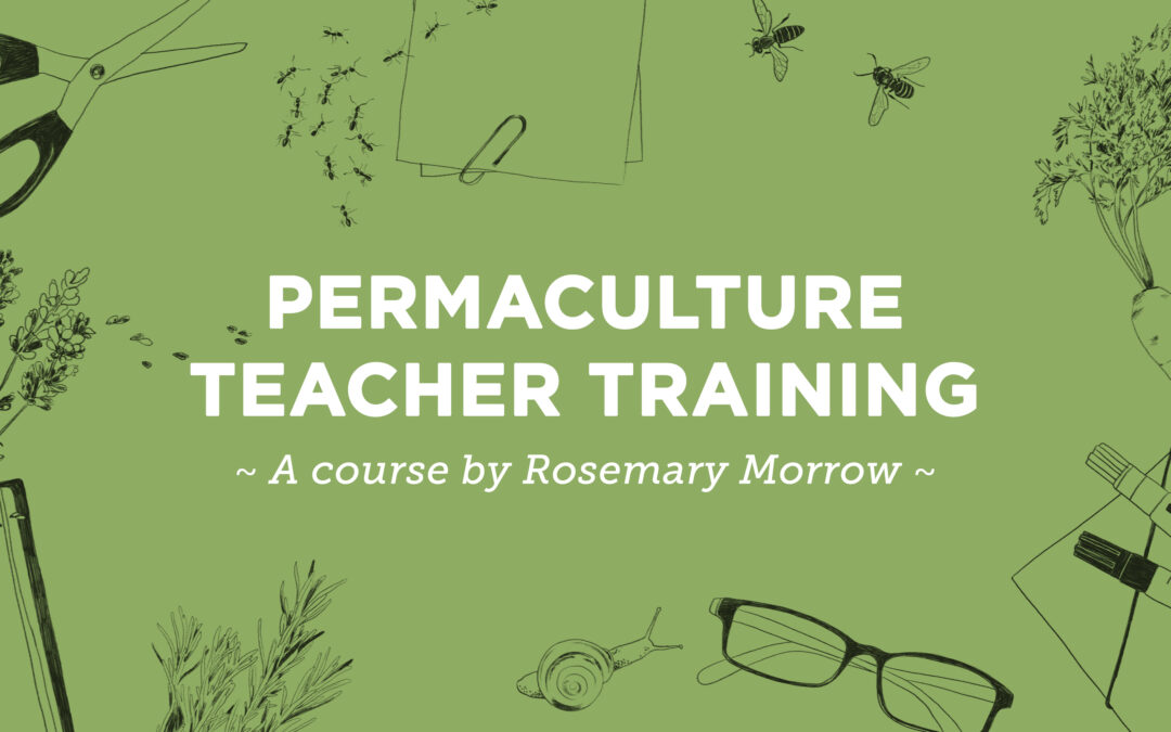 PERMACULTURE TEACHER TRAINING (PTT)  – online