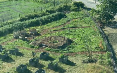 Metsäpuutarhaesittelyt, osa 1: Viikin metsäpuutarha (in English below)