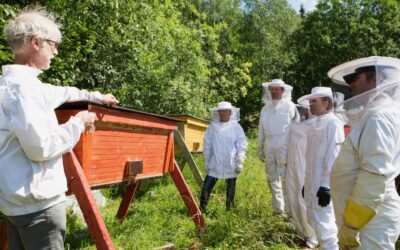 Apicentric Beekeeping and Caring for Bees – online 22.-23.4.2023