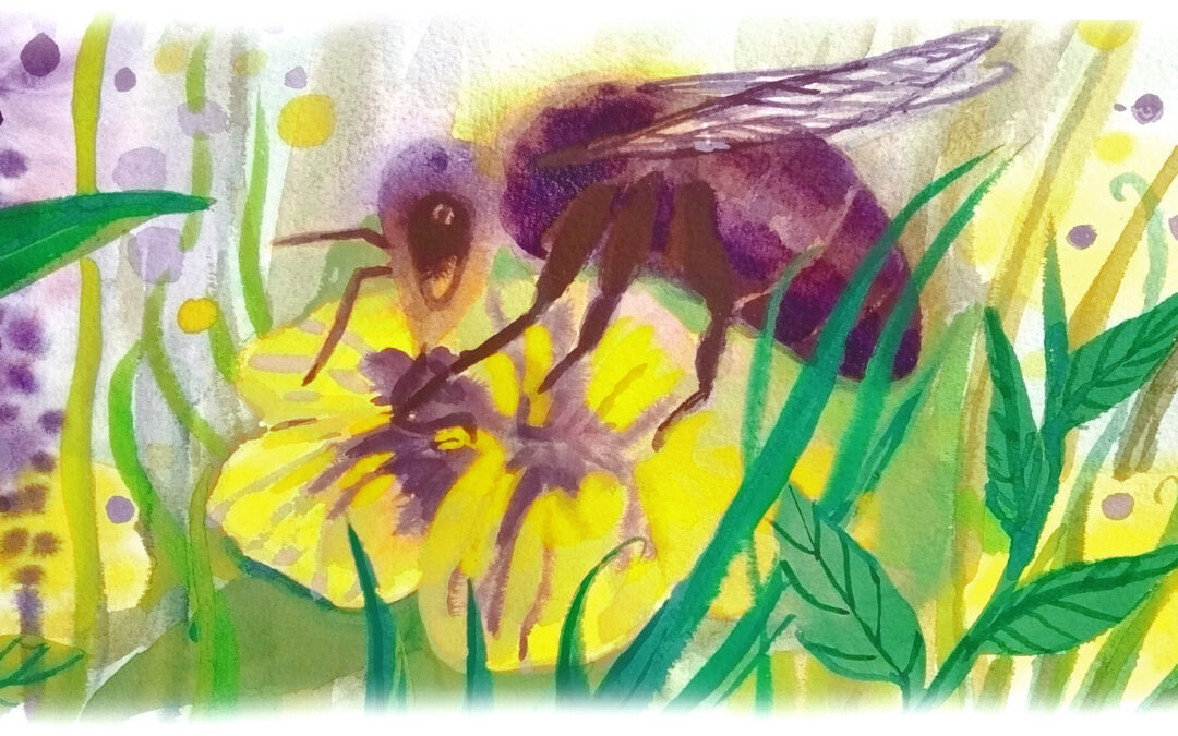 Maailman Mehiläispäivä 20.5.2023 Iso-orvokkiniityllä