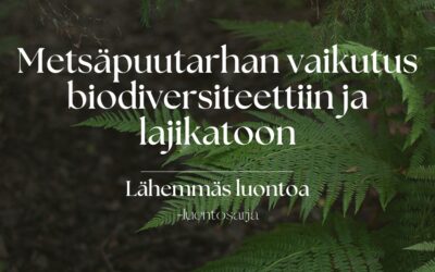 Lähemmäs luontoa -luentosarja Turussa, osa 7: Metsäpuutarhan vaikutus biodiversiteettiin ja lajikatoon