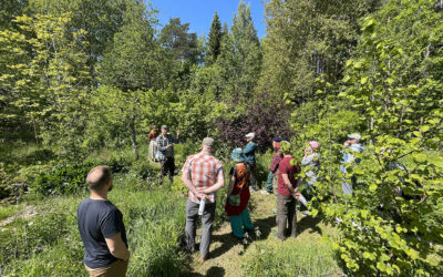 Syötävä metsäpuutarha -kurssi Laitilassa 17.8.2025
