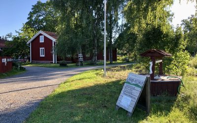 Mikrobien päivä Koroisilla, Turussa 6.9.