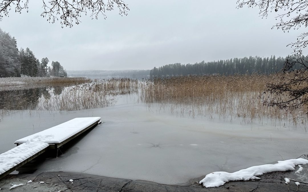 Suomen permakulttuuriyhdistyksen syystapaaminen ja syyskokous 29.11.2025