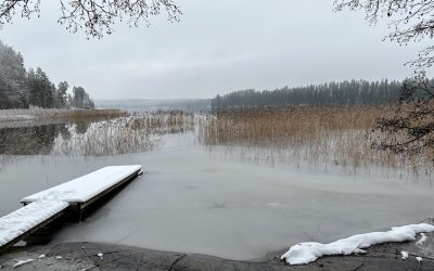 Suomen permakulttuuriyhdistyksen syystapaaminen ja syyskokous 29.11.2025