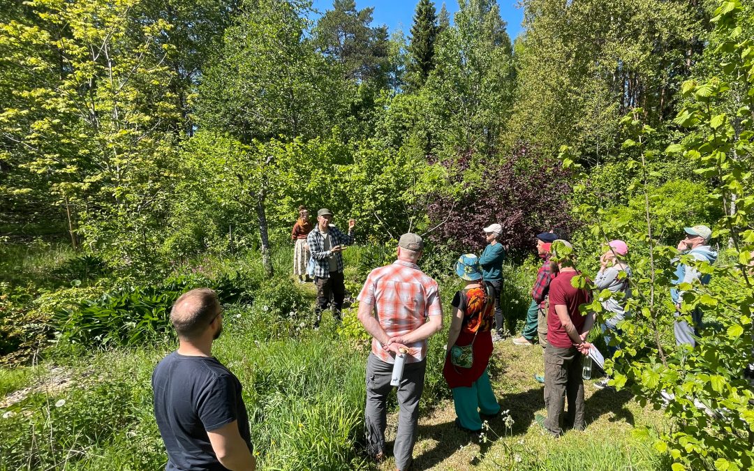 Syötävä metsäpuutarha -kurssi su 7.6.2026 Laitilassa