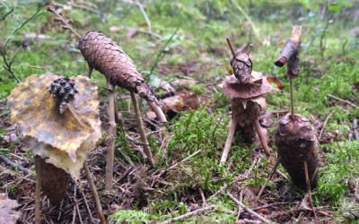 Johdatus permakulttuuriin -kurssi Espoon työväenopistossa