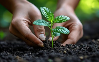 Permakulttuurin perusteet nuorille Keski-Pohjanmaan kansanopistossa 3.-4.3. 2026