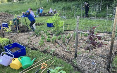 Keravan syötävä metsäpuutarhakurssi 8.–9.5.2026