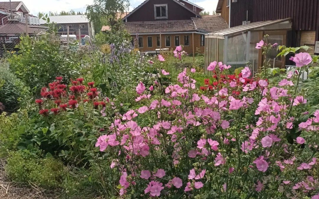 Työpaja: Syötävän metsäpuutarhan perustaminen Joel Rosenbergin opissa Vesilahdella 26.4.