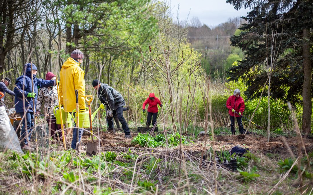 Permablitz-talkoot ja Elävien siemenpankkien Turun paikallispiirin ensimmäinen tapaaminen Koroisilla 3.5.