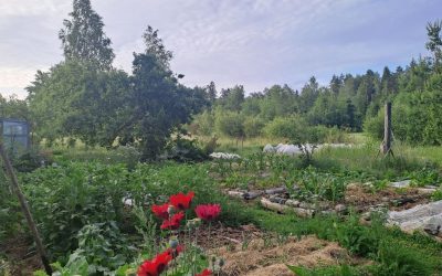 Permakulttuurin perusteet – toimijuutta ja yhteyttä luonnosta (Maskussa 8.-9.8.)