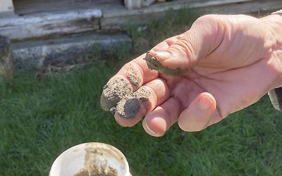 Metsän kansa -talkooleiri 24.-30.8. Tärkkilässä: PUU & SAVI – luonnonmukainen rakentaminen